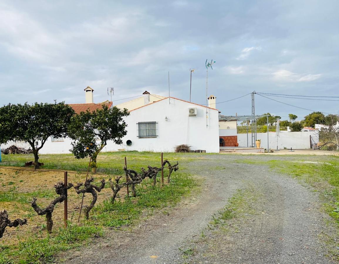 Agua De Verano San Bartolomé de la Torre Eksteriør billede